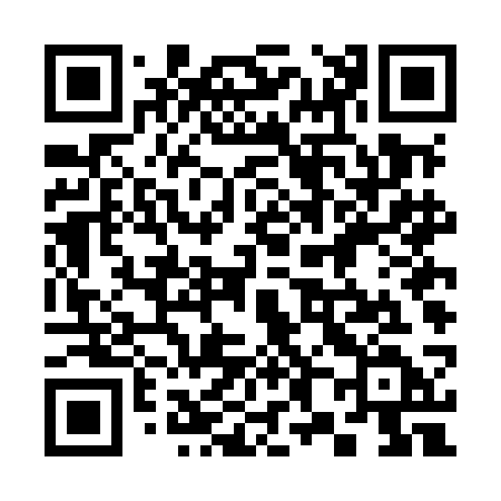 QR code for 384MCD