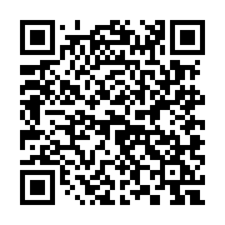 QR code for 384MMG