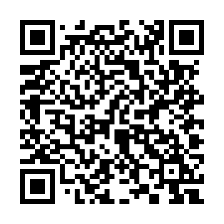 QR code for 384MZM