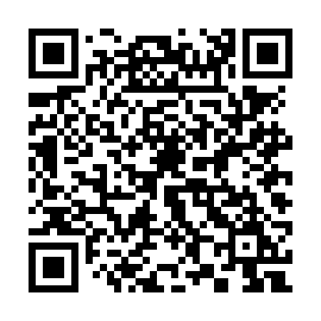 QR code for 384NBM