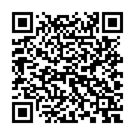 QR code for 384OZS