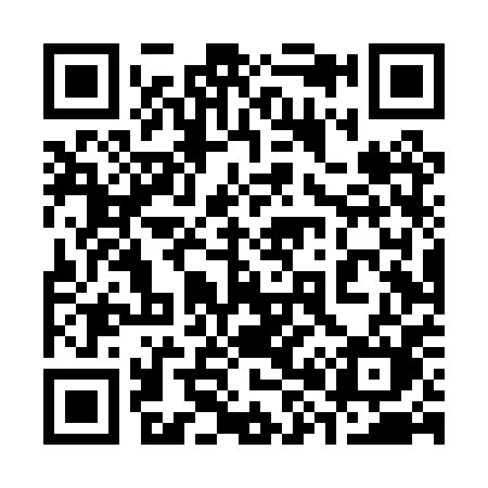 QR code for 384PPM