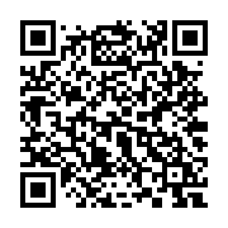 QR code for 384PRU