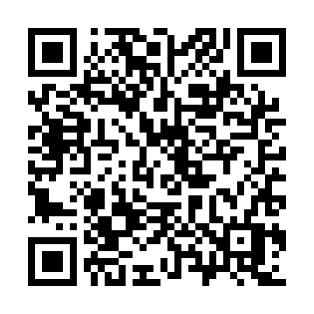 QR code for 384QHV