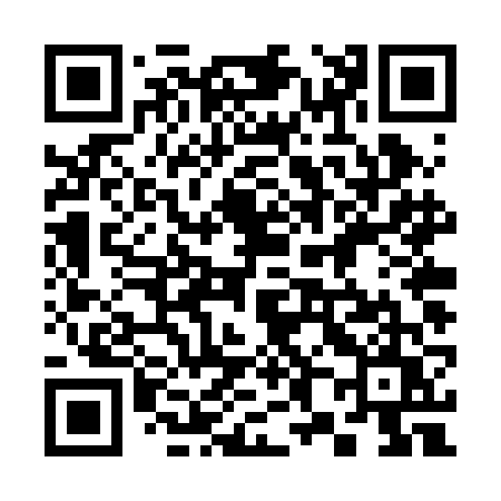 QR code for 384RFU