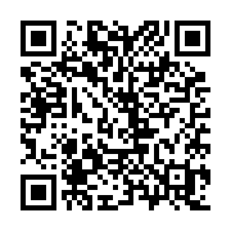 QR code for 384RKI