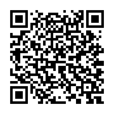 QR code for 384RLT