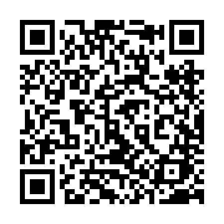 QR code for 384RNK