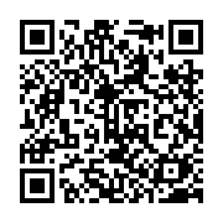 QR code for 384SCM