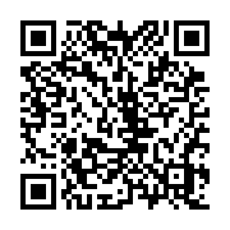 QR code for 384SFZ