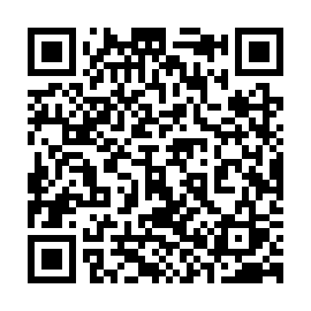 QR code for 384SSS