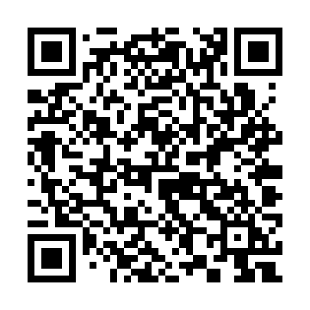 QR code for 384SZI