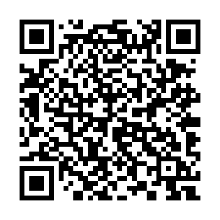 QR code for 384TIC