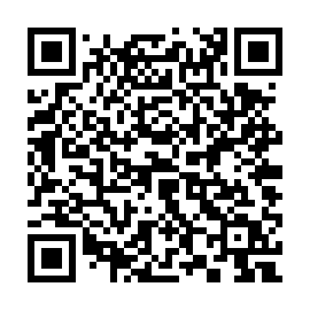 QR code for 384TQT