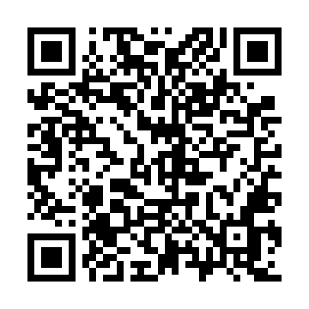 QR code for 384VMN