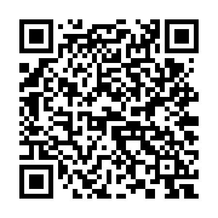 QR code for 384VVI