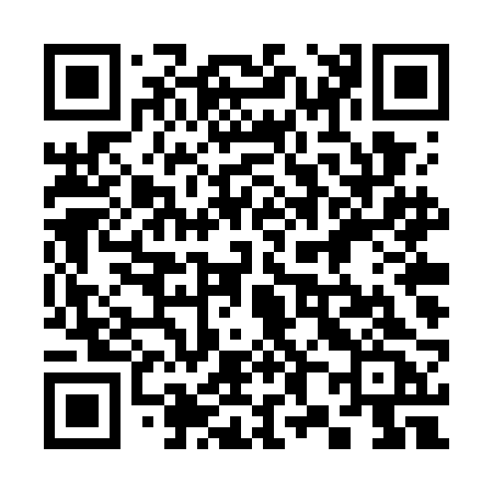 QR code for 384WBC