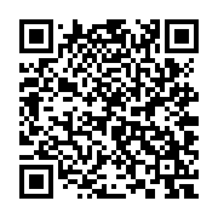 QR code for 384ZHO
