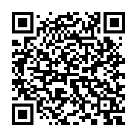 QR code for 385BXS