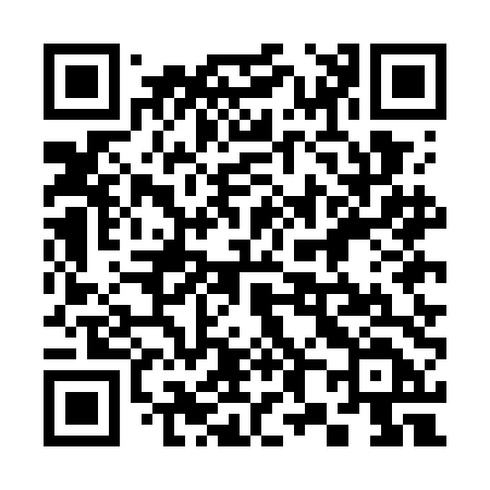 QR code for 385GDD