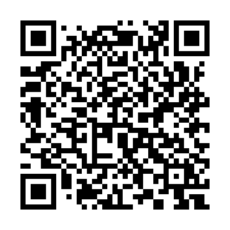 QR code for 385IPX