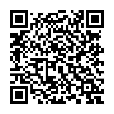 QR code for 385LBL