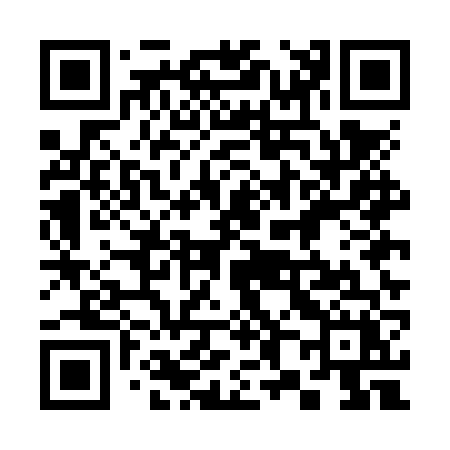 QR code for 385NVX