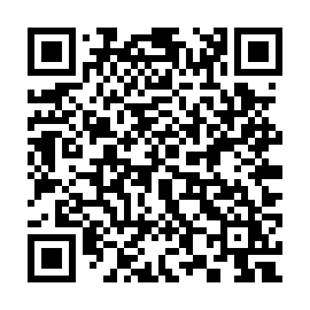 QR code for 385PZZ