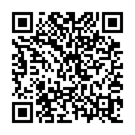 QR code for 385SAI