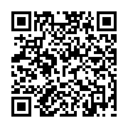 QR code for 385STO