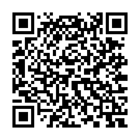 QR code for 385TOI