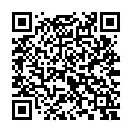 QR code for 385VPX