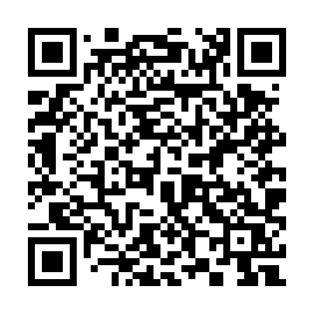 QR code for 386DXS