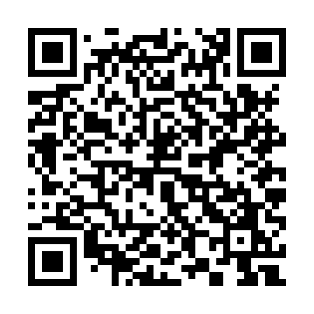 QR code for 386HUO