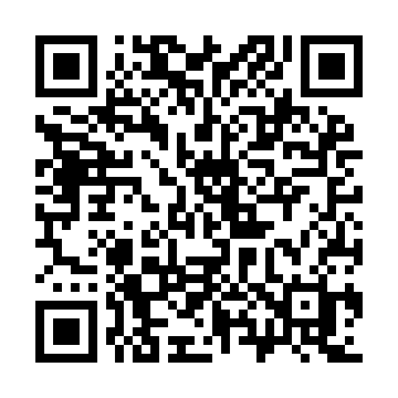 QR code for 386ICH