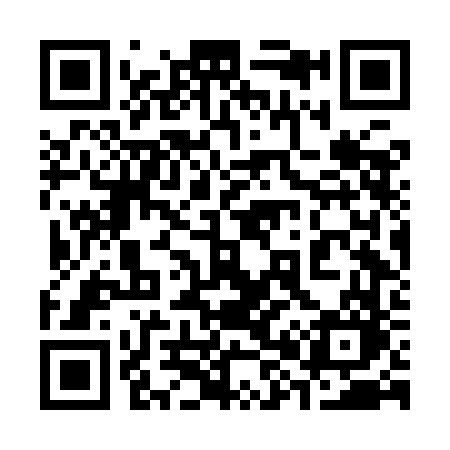 QR code for 386IFO