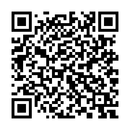 QR code for 386MAQ
