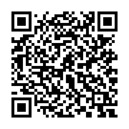 QR code for 386NAR