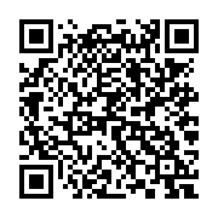 QR code for 386NCG