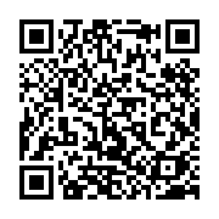 QR code for 386PCH