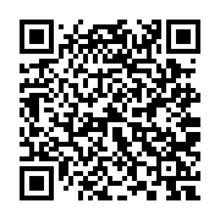 QR code for 386PLG