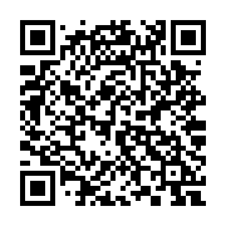 QR code for 386PPE