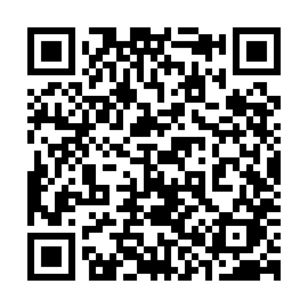 QR code for 386QHK