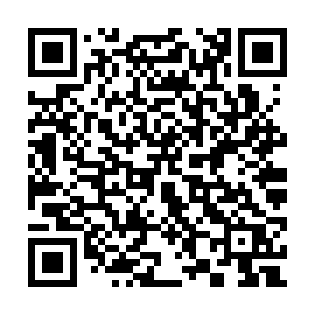 QR code for 386SRR