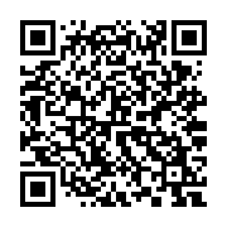 QR code for 386VGO