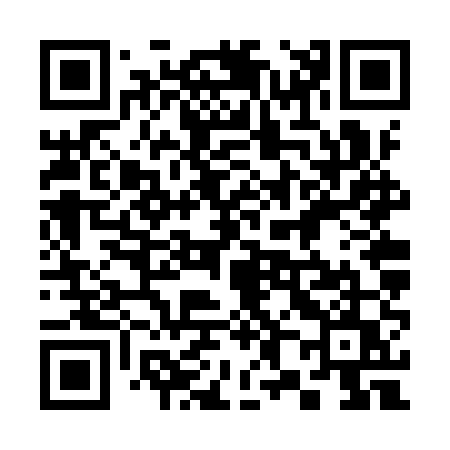QR code for 386YUU