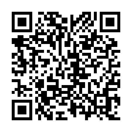 QR code for 386ZAN