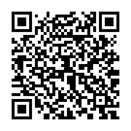 QR code for 386ZHI