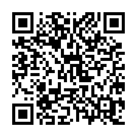 QR code for 387BHG