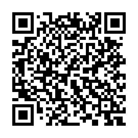 QR code for 387DVI
